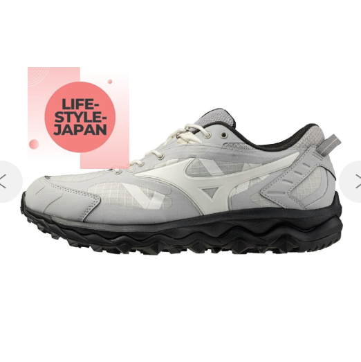 MIZUNO WAVE MUJIN TL GTX D1GA237310 Gray Off-white Light Men 