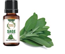 Sage Or Salvia officinalis Essential Oil For Acne, Pimples 100 Pure Oil
