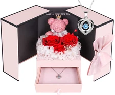 Addwel Valentines Day Gifts for Her, Romantic Preserved Roses Forever Flowers