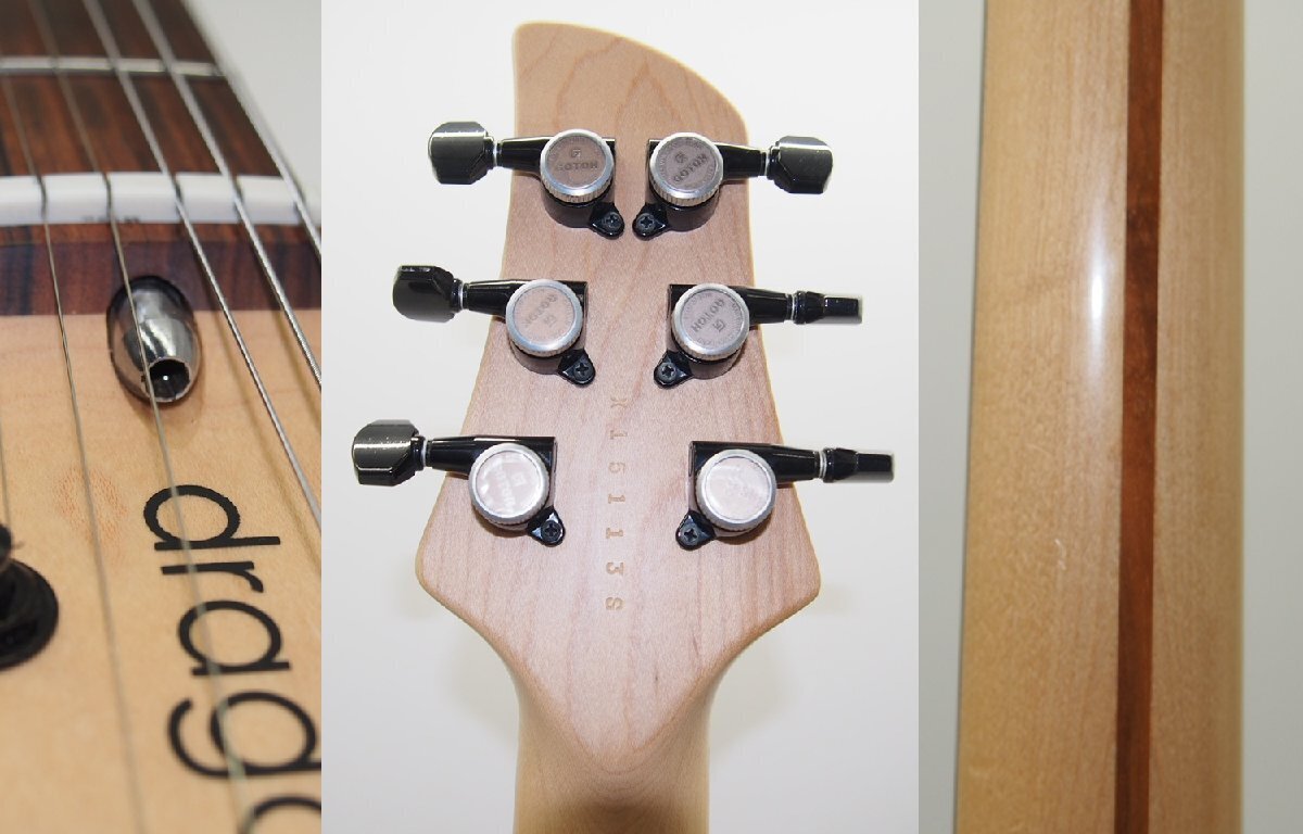 dragonfly BORDER CUSTOM 666 Electric guitar with semi-hard dragonfly BORDER CUSTOM 666 Electric guitar with semi-hard