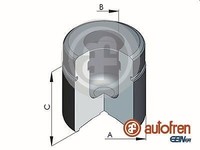 Autofren Seinsa D025420 Kolben, Bremssattel Vorderachse FÜR Cadillac Fiat Opel S