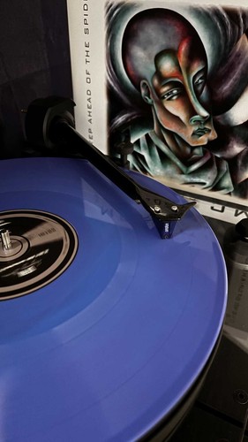 MC 900 Ft Jesus - One Step Ahead Of The Spider Limited Edition 2LP Color Vinyl - Bild 12 von 12