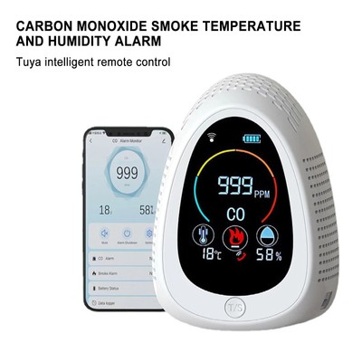 4 In 1 Portable Multi Gas Detector Carbon Monoxide Alarm Temperature Humidity