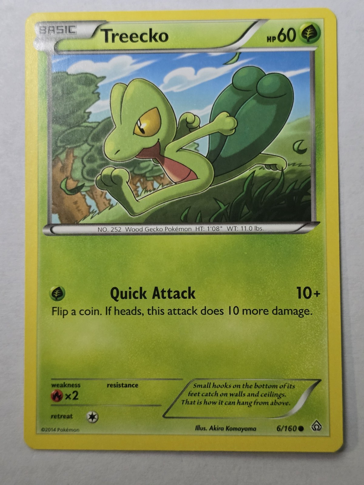 Treecko Common XY - Primal Clash 6/160 NM