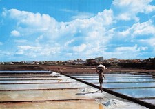 PORTUGAL AVEIRO SALINES