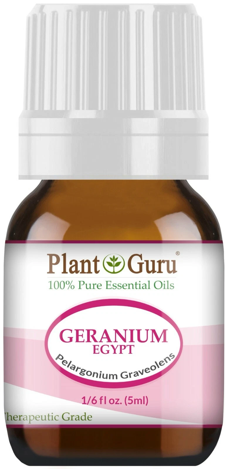 Geranium 