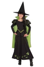 The Wizard of Oz, Wicked Witch of the West, Child Halloween Costume, 3 - 4.