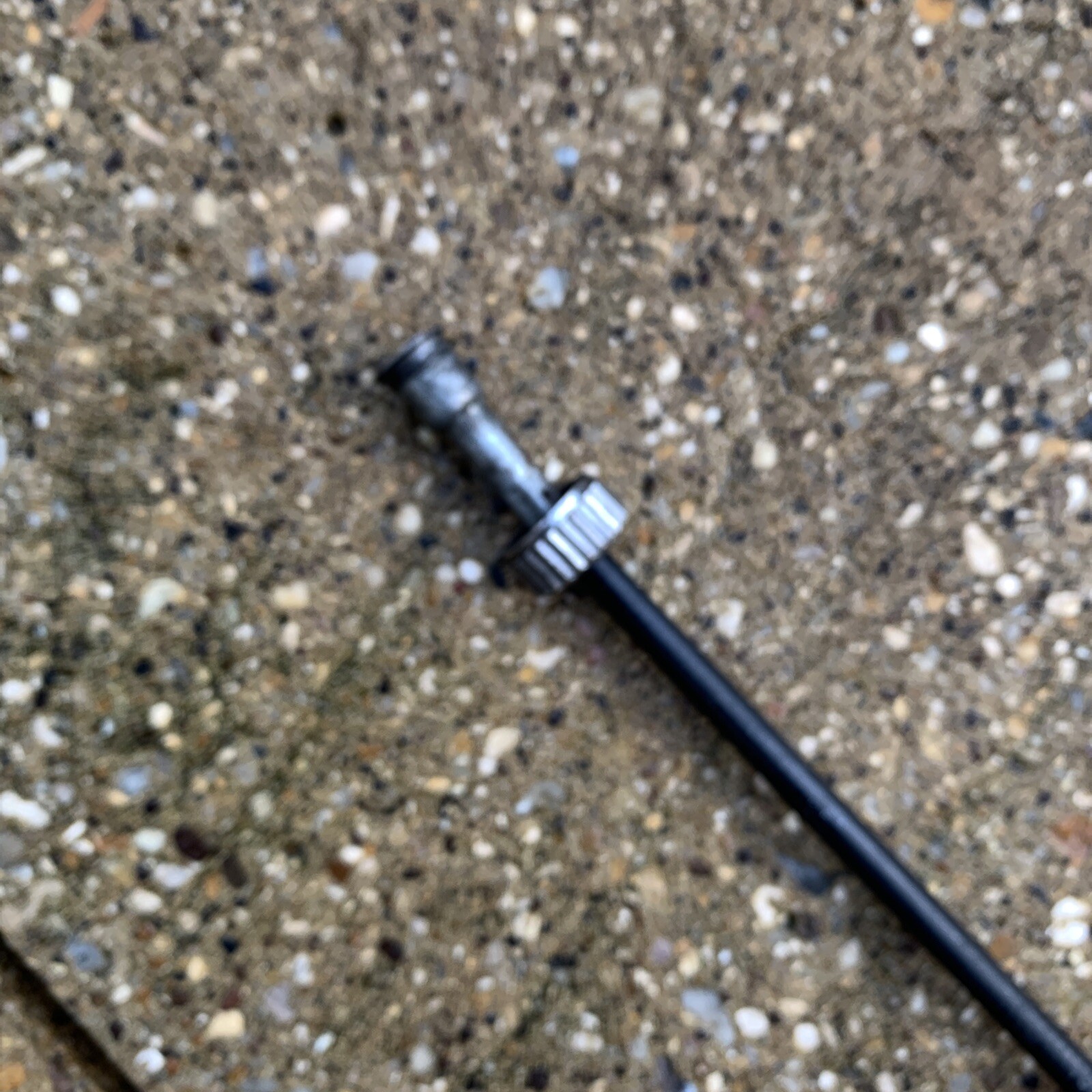 harley davidson 1200 sportster Speedo Drive And Cable eBay