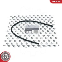 Esen SKV Schlauch, Leckkraftstoff U.A. FüR Fiat, Lancia, Opel