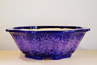 Japanese Bonsai Pot Tokoname AIBA KOYO φ12.4''(31.4cm) Purple Glazed Rinka X185