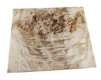 Big Poplar burl wood,Burl Board, (9.69'' x 8.23'' x 1.30''in)Knife making, TK135