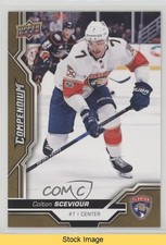 2018-19 Upper Deck Compendium Gold Colton Sceviour #169 READ 0c3