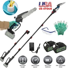 2-in-1 Cordless Pole Saw & Mini Chainsaw w/ 2 Battery Extension Rod
