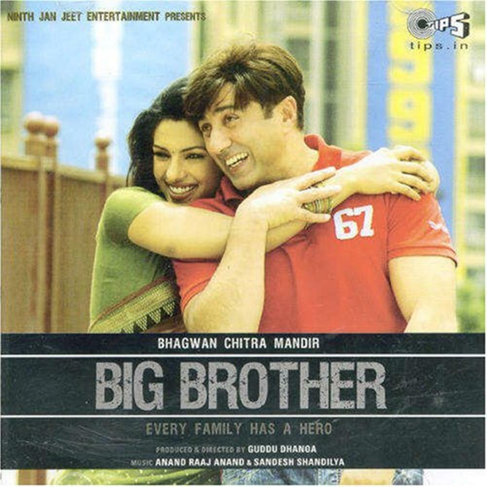 Big Brother / O.S.T. - AA.VV. (Audio Cd)