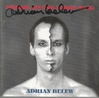 Desire Of the Rhino King * by Adrian Belew (CD, 1991, Island) Original Signed — photo 1