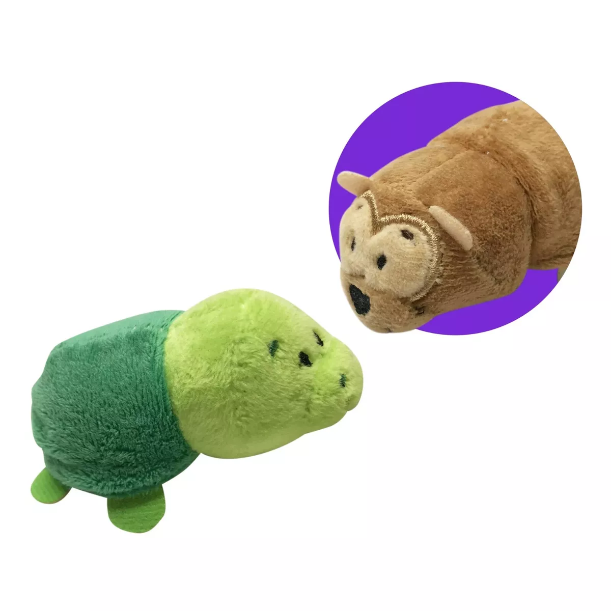 Flipazoo turtle store