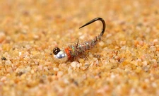 6 Flies - Tungsten Tan Walt's Sexy Worm Jig Head Fly - Euro nymph - Hanak Hook