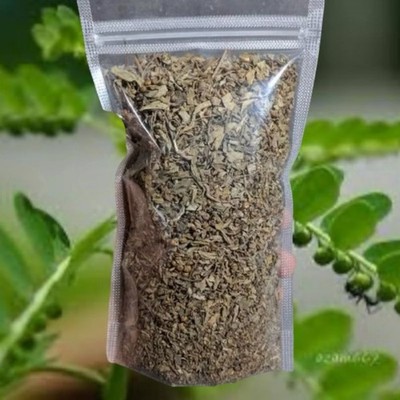 Wildcrafted Steinbrecherkraut - Phyllanthus niruri - 100g getrocknete ganze...