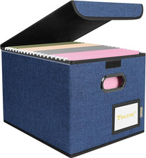 File Organizer Box with Lid, Collapsible File Folder Organizer with Plastic Slid