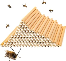 Bee Tube Inserts - 100 Pack, 6 in x 6 mm Cardboard - Paper Nesting Inserts & Car