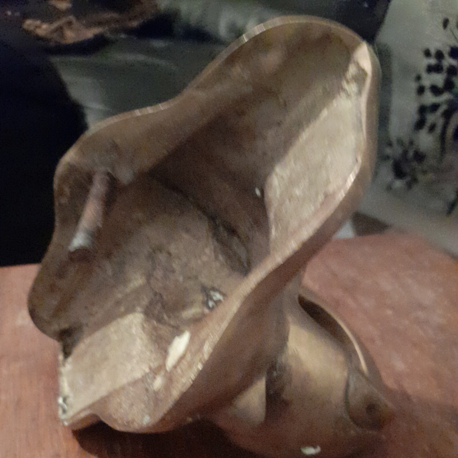Picture 5 of 17
