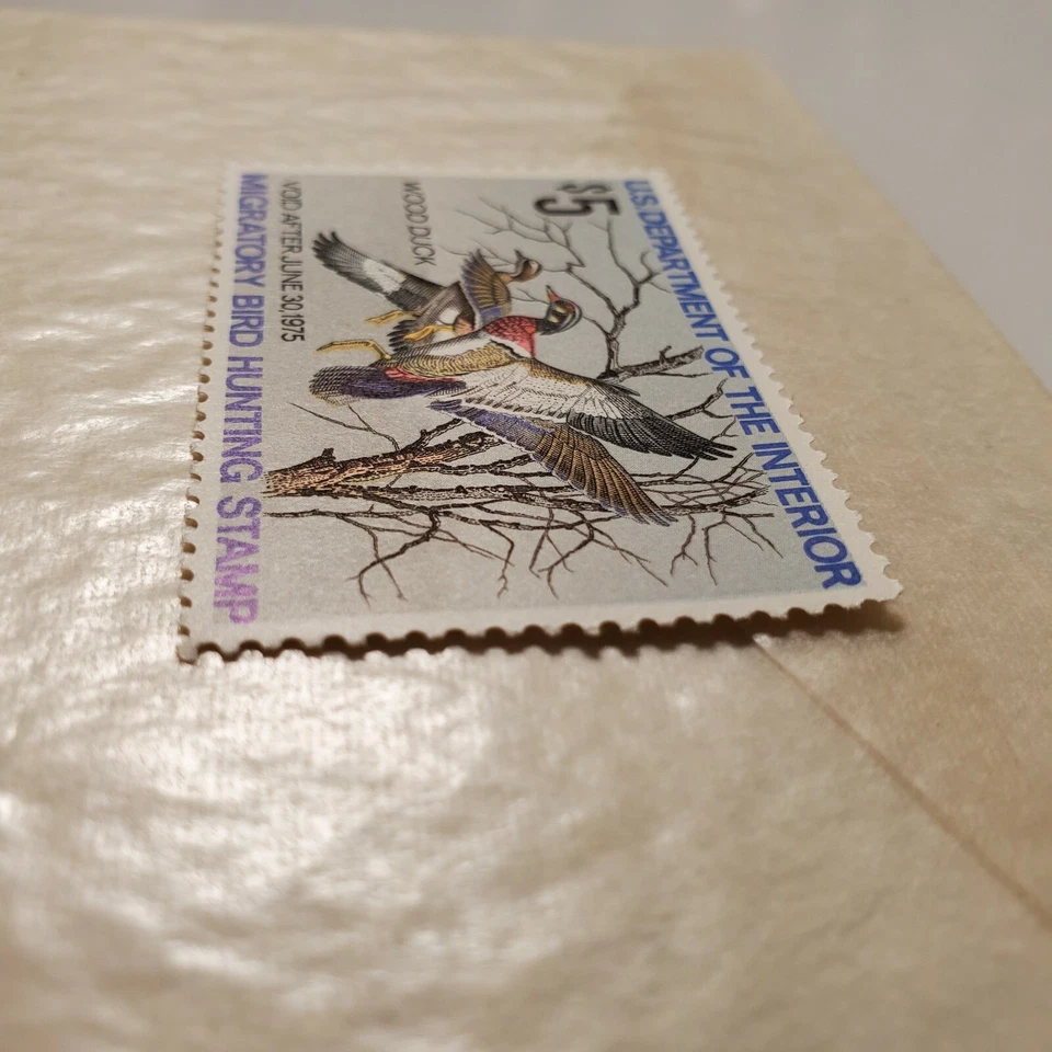 Collectible Migratory Bird Hunting Stamp Wood Duck 1974 Hobbies - Image 4 of 4