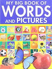 My Big Book of Words and Pictures Julie Haydon
