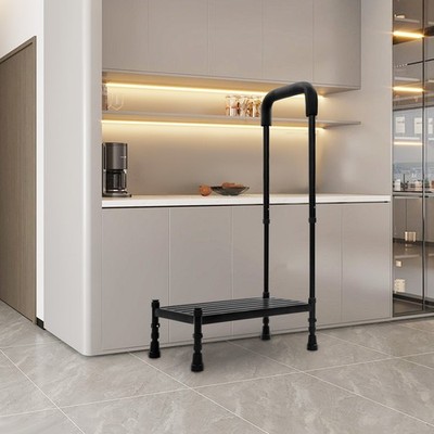Black Floor Standing 1-Step Stool Adult Ramp with Handrail Metal Stepping Stool