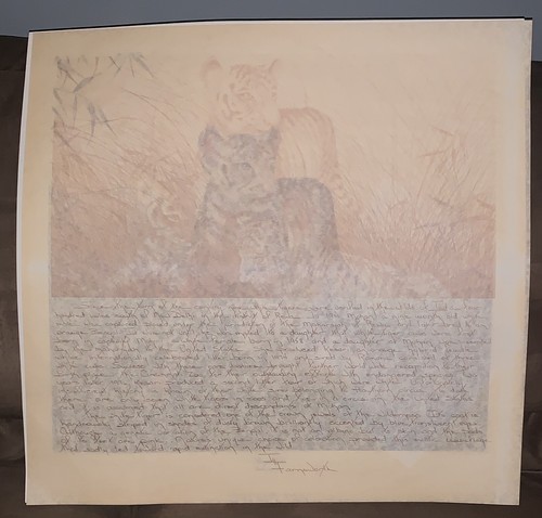 Imogene Farnsworth BENGAL CUBS (Cincy Zoo) S/# Lithograph 3000 Edition 1977 - Picture 3 of 7