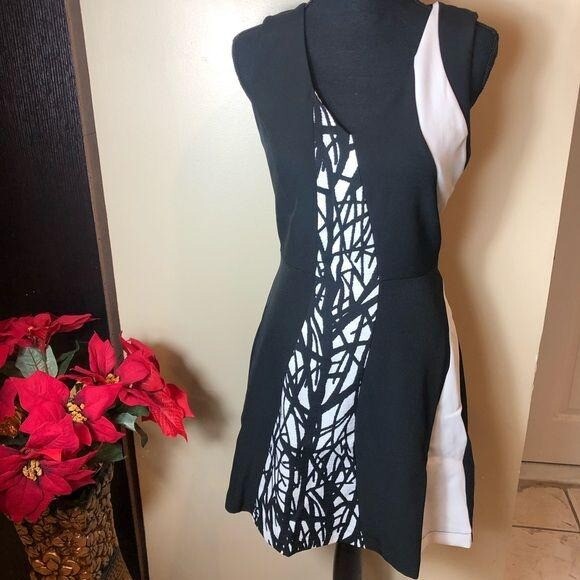 Adelyn Rae Fit and Flare Dress Black White Small | eBay