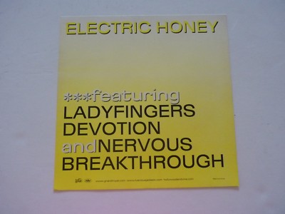 Luscious Jackson Electric Honey LP Record Photo Flat 12x12 Poster