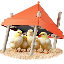Chick Brooder Heating Plate with Anti Stand Cone 10 x 10 Brooder Heater for