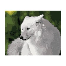DIY Paint by Number Kits Acrylic Painting Oil painting