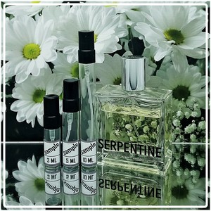 serpentine comme des garcons