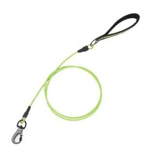 Chew Proof Dog Leash - 6 FT Metal Dog LeashHeavy Duty Waterproof 6FT Green