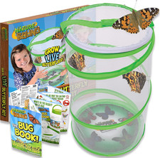 Butterfly Growing Kit - Live Caterpillar to Butterfly Project for Kids - Include