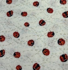 Solana Ladybug Print Cotton Fabric 28"x42" Robin Pickens Moda Fabrics