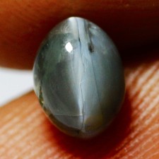  on The Hot Collector