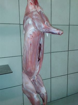 Kaninchen im ganzen 2,9 kg Sehr fleischig und saftig Nur 41  Für die Grillprofis