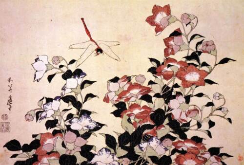 Hokusai - China Campana Flor Y Dragon-Fly 30x40 Lona