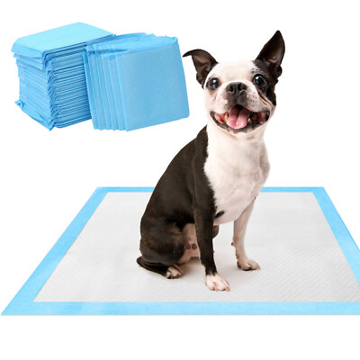 Weeks Training A Boston Terrier To Pee Outside Little Wolves Potty