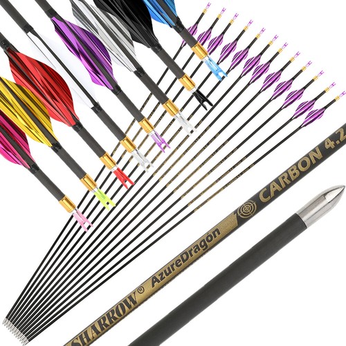 31" Carbonpfeile SP700-1000 Spiralfeder Bogenschießen Zielpfeile Recurve Bogen - Picture 1 of 27