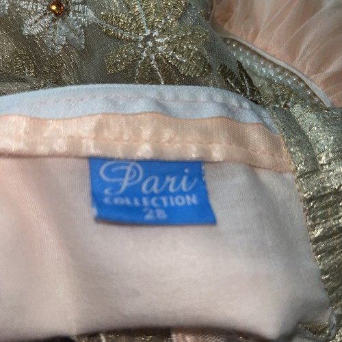 Pani Collection Size 28 Girls Long Frog Dress Small Stain India Tulle Skirt - Picture 7 of 7