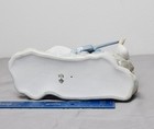 Foto 6 di 8