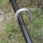 Bild 5 von 6