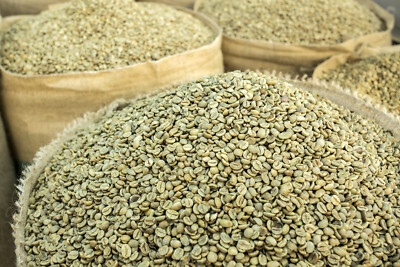 2 POUNDS green coffee beans   your choice of beans   MANY to choose from