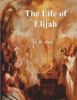 The Life Of Elijah A. W. Pink Taschenbuch Kartoniert / Broschiert Englisch 2023