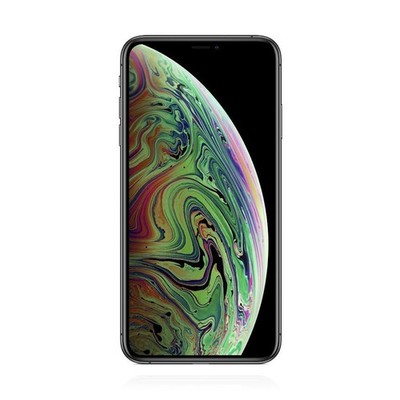 Apple iPhone XS Max 256GB Space Grau *TOP* MwSt nicht ausweisbar