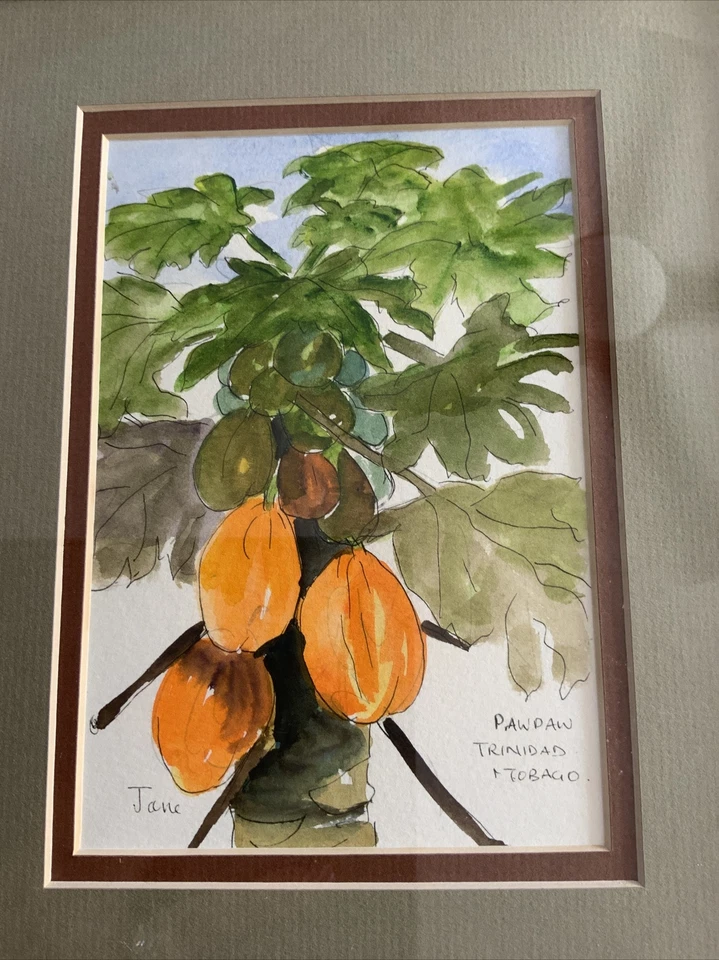 Pintura Original Jane Albert Paw Paw Trinidad y Tobago. Artista listado Foto 2 de 4