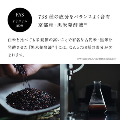 【ei-ei】FAS THE BLACK ESSENCE 120ml×2 FAS The Black Essence 120ml 200ml Lotion Toner Rice Facial Skin